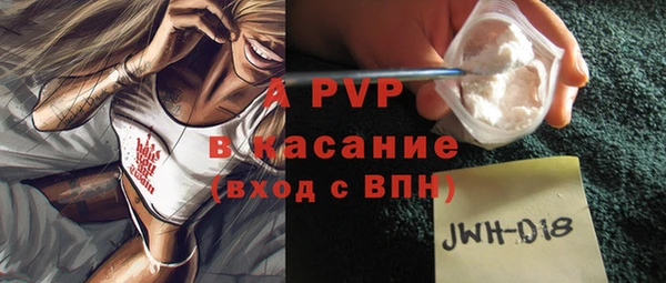 ПСИЛОЦИБИНОВЫЕ ГРИБЫ Горняк
