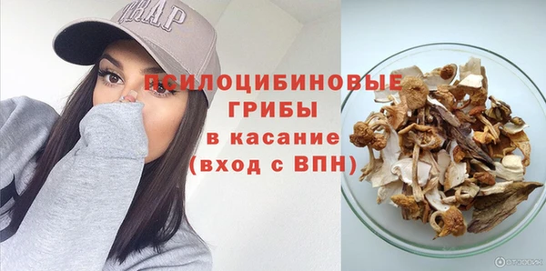 дживик Горнозаводск