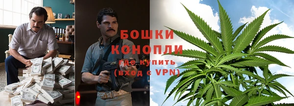 ПСИЛОЦИБИНОВЫЕ ГРИБЫ Горняк