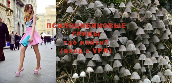дживик Горнозаводск